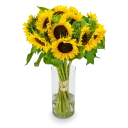 Tournesol